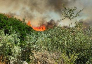 Φωτιά στην Άνδρο – Επιχειρούν και εναέρια μέσα