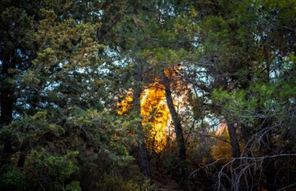 Κρήτη: Μεγάλη πυρκαγιά στο Λευκοχώρι