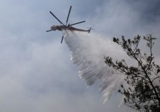 Σέρρες: Μεγάλη φωτιά σε δασική έκταση – Επιχειρούν και εναέρια μέσα