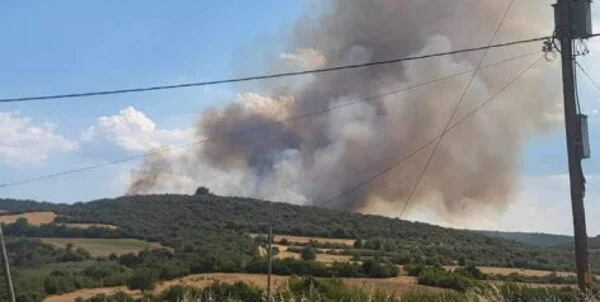 Σέρρες: Συνελήφθη ένα άτομο για τη μεγάλη φωτιά στη Νιγρίτα – Αύριο οδηγείται στον εισαγγελέα