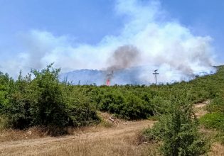 Καιρός: Πολύ υψηλός κίνδυνος φωτιάς και άνεμοι έως 7 μποφόρ το Σάββατο