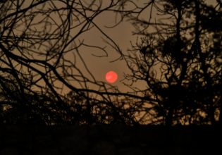 Φωτιά: Νύχτα αγωνίας για την Ηλεία – Δύσκολη κατάσταση και πολλές απομακρύνσεις