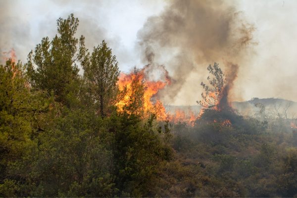 Φωτιά στην Αργολίδα – Κινητοποιήθηκαν επίγειες και εναέριες δυνάμεις – Ήχησε το 112