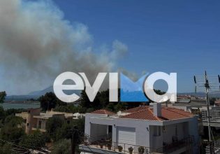 Φωτιά στη Νέα Αρτάκη – Εκκενώνεται οικισμός