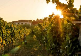 Το Ιόνιο σε ένα ποτήρι: Αυτά τα οινοποιεία αποτελούν προορισμό