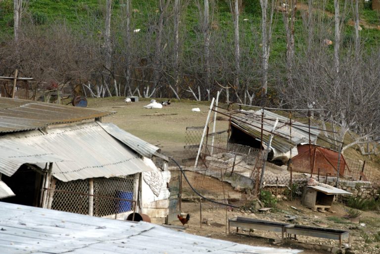 Ζαγορά: Τρομακτικές στιγμές για 45χρονο ΑμεΑ – Τον χτύπησαν, τον έδεσαν και τον κλείδωσαν σε μαντρί