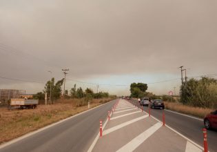 Φωτιά στο Αλποχώρι Πύργου: Νεκρός άνδρας στη Μυρτιά