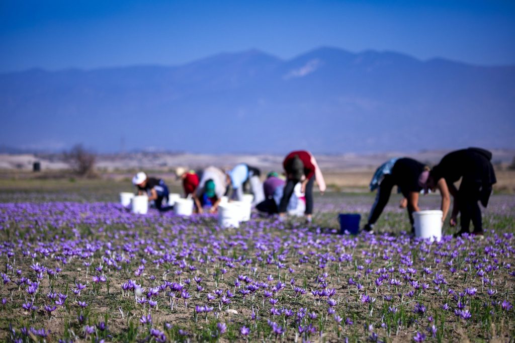 Ελλάδα: Οι κλάδοι με τις μεγαλύτερες αυξήσεις μισθών την τελευταία πενταετία