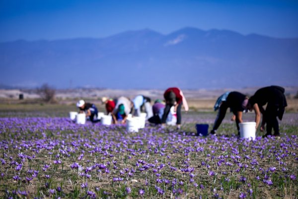 Ελλάδα: Οι κλάδοι με τις μεγαλύτερες αυξήσεις μισθών την τελευταία πενταετία