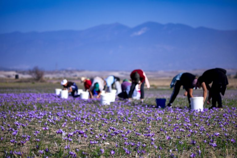 Ελλάδα: Οι κλάδοι με τις μεγαλύτερες αυξήσεις μισθών την τελευταία πενταετία