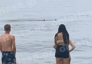 Καρχαριοειδές έκανε… βόλτες σε παραλία της Λάρισας- «Πάγωσαν» οι λουόμενοι