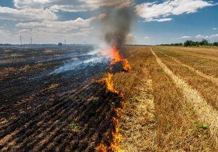 Ενισχύσεις: Μέτρα για πυρόπληκτους αγρότες – Ποιους αφορά