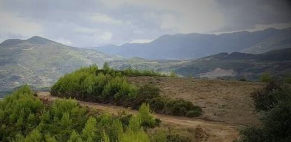 Με μισό εκατ. Ευρώ χρηματοδοτείται ο Δήμος Κορίνθου για έργα πυροπροστασίας