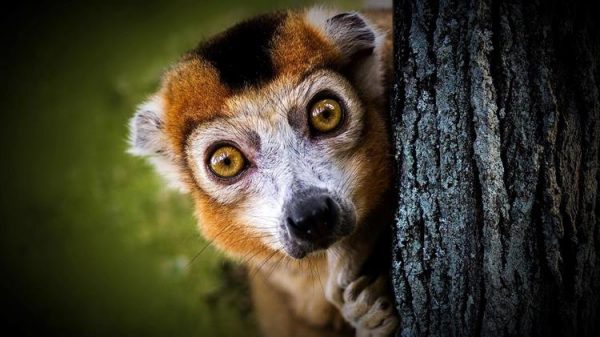 Ο λαός λέει πάρτο αλλιώς, αλλά ο Κυριάκος αντιγράφει το made by Μανολιός και ο Στέφανος το made by πρώην πρωθυπουργός