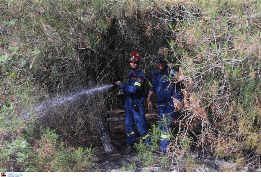 Θεσσαλονίκη: Κακουργηματική δίωξη για εμπρησμό δάσους στον 25χρονο για τη φωτιά στο Σέιχ Σου – Τι ισχυρίστηκε