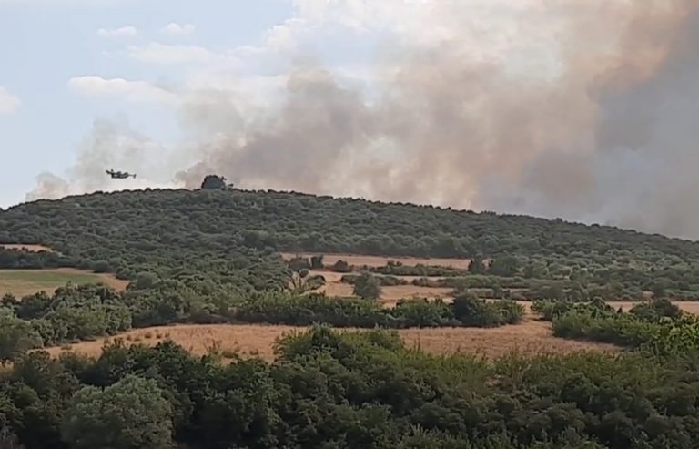 Σέρρες – Φωτιά: Μαίνεται η πυρκαγιά στη Νιγρίτα – Επιχειρούν ισχυρές δυνάμεις, στη «μάχη» 10 εναέρια μέσα