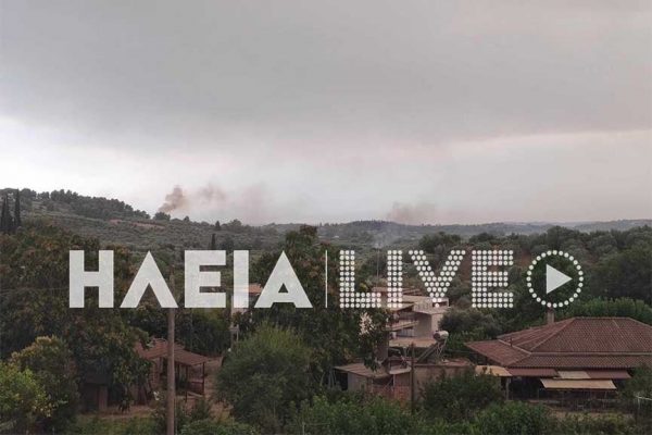 Φωτιά τώρα: Ξεπήδησαν φλόγες και στο Ντόμπρινο – Καίει πευκόφυτη έκταση