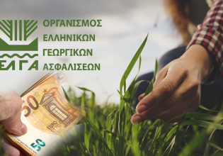ΕΛΓΑ: Πότε θα καταβληθούν αποζημιώσεις στους πληγέντες από τον Daniel αγρότες