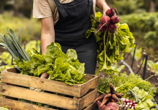 ΕΛΣΤΑΤ: Με ρυθμό 15,7% αυξάνονται οι τιμές των αγροτικών προϊόντων