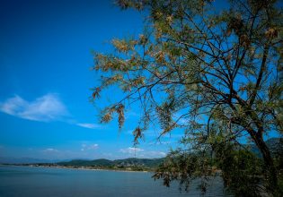 Καιρός: Έρχονται 40αρια – Οι 6 περιοχές που θα «καούν»