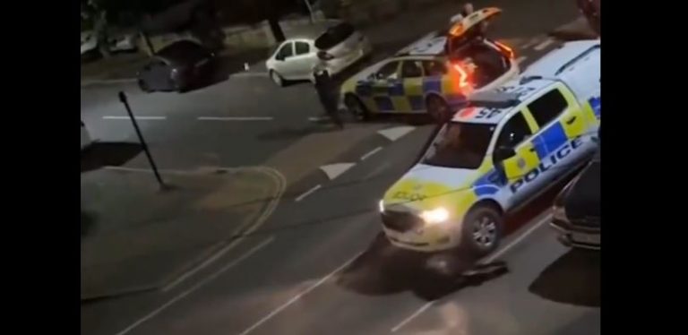 Βρετανία: Έξω φρενών ζωοφιλικές οργανώσεις για περιπολικό που πάτησε μοσχαράκι