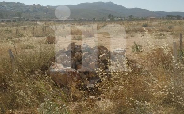 Μια δωρεά που αρχίζει να …ξεραίνεται στο πολύπαθο Μάτι