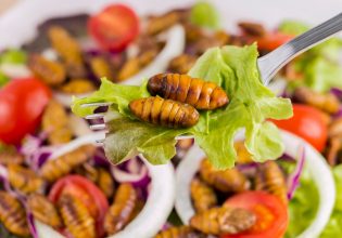 Γρύλοι και σκουλήκια στο πιάτο μας