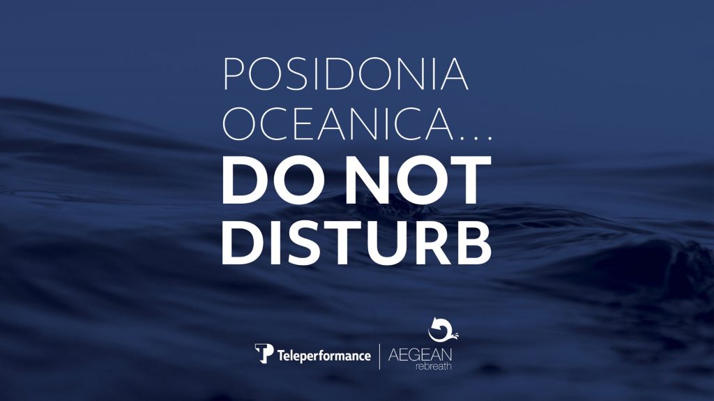 Λιβάδια Ποσειδωνίας: Δέκα λόγοι να τα αγαπήσουμε και να τα προστατεύσουμε