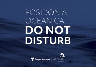 Λιβάδια Ποσειδωνίας: Δέκα λόγοι να τα αγαπήσουμε και να τα προστατεύσουμε