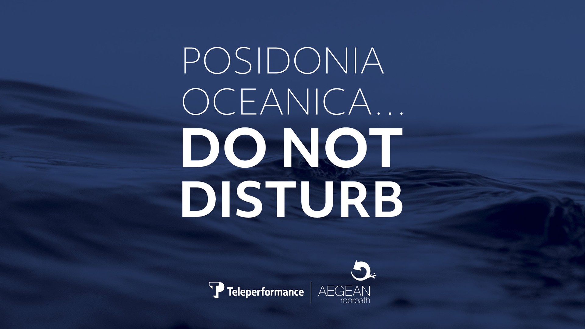 Λιβάδια Ποσειδωνίας: Δέκα λόγοι να τα αγαπήσουμε και να τα προστατεύσουμε