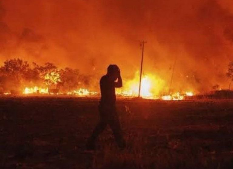 Φωτιά: Πύρινη κόλαση στην Τουρκία – Εκκενώθηκαν σπίτια και ξενοδοχεία στο Κουσάντασι