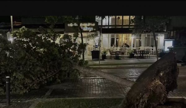 Βέροια: Σφοδρό μπουρίνι «ξήλωσε» δέντρα και κολώνες ρεύματος – Στο σκοτάδι πολλές περιοχές