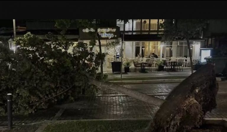 Βέροια: Σφοδρό μπουρίνι «ξήλωσε» δέντρα και κολώνες ρεύματος – Στο σκοτάδι πολλές περιοχές