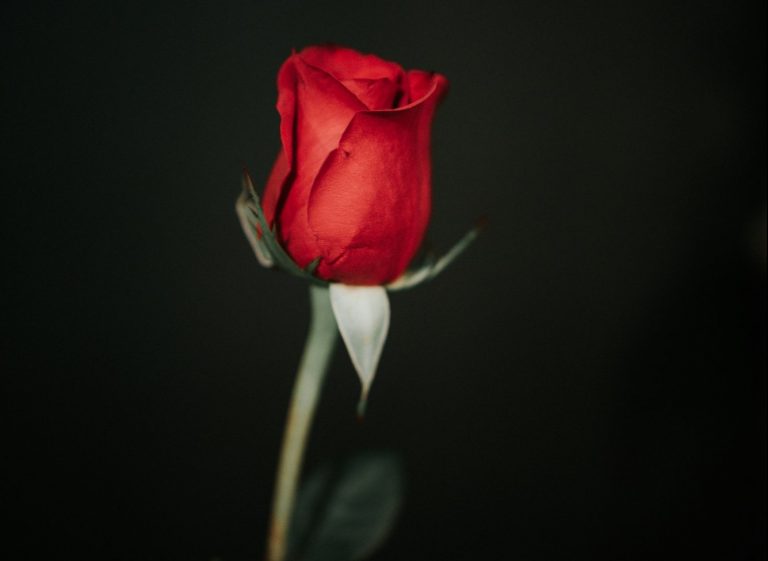 Θεσσαλονίκη: Εκτός φυλακής ο «γύπας» που απέσπασε 150.000 ευρώ πουλώντας έρωτα