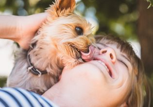 Βόλτα: Είναι άδικο για τον σκύλο, η αμέλεια μας για τις ακαθαρσίες του να τον καθιστά ανεπιθύμητο