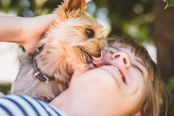 Βόλτα: Είναι άδικο για τον σκύλο, η αμέλεια μας για τις ακαθαρσίες του να τον καθιστά ανεπιθύμητο