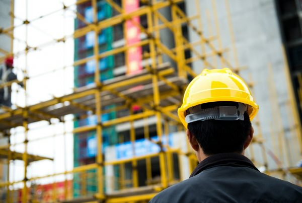 «Αυτά που κάνουν οι ιδιοκτήτες είναι βέβαιο ότι θα τα πληρώσουν οι απόγονοί τους»