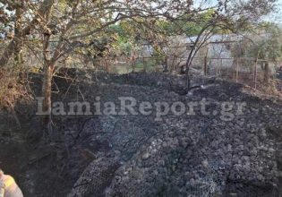 Πελαργός προκάλεσε φωτιά στη Φθιώτιδα