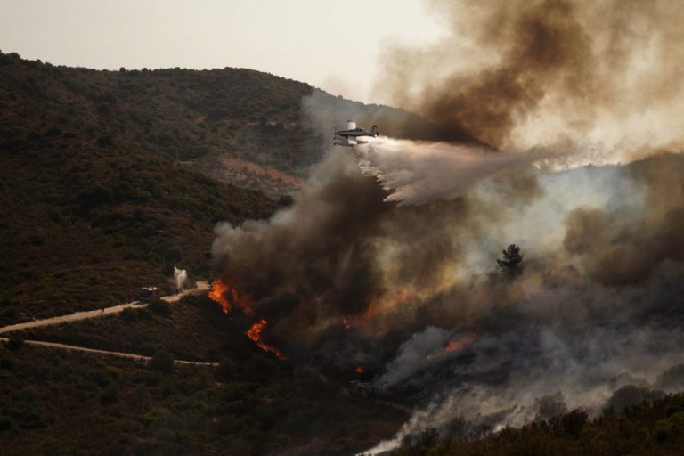 Βίντεο ντοκουμέντο από την Εύβοια: Η στιγμή που ξεσπά η φωτιά