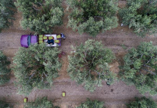 Σε «ομηρία» οι αγρότες – Το colpo grosso με τις πληρωμές των ενισχύσεων