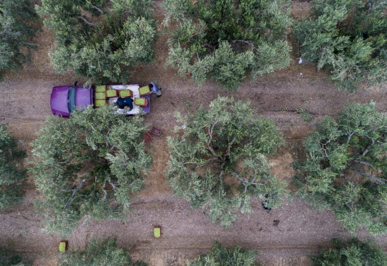 Σε «ομηρία» οι αγρότες – Το colpo grosso με τις πληρωμές των ενισχύσεων