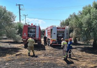 Πυροσβεστική: 36 αγροτοδασικές φωτιές το τελευταίο 24ωρο