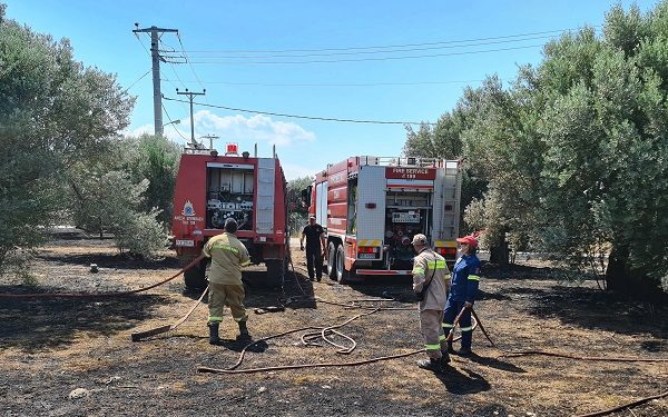 Πυροσβεστική: 36 αγροτοδασικές φωτιές το τελευταίο 24ωρο