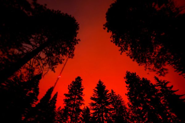 ΗΠΑ: Οι δασικές πυρκαγιές καίνε εκτός ελέγχου Καλιφόρνια και Όρεγκον