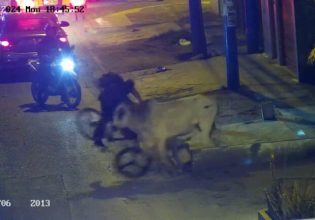 Περού: Η στιγμή που αφηνιασμένος ταύρος επιτίθεται σε ανυποψίαστους πολίτες