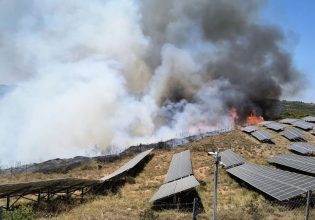 Φωτιά στη Ζάκυνθο σε δασική έκταση κοντά στο χωριό Αγαλάς