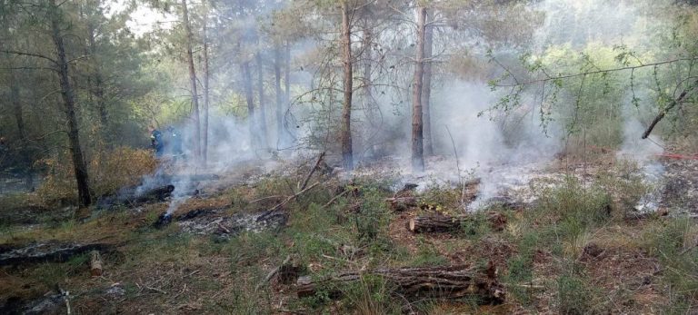 Ραφήνα: Προφυλακιστέος ο άντρας που συνελήφθη για εμπρησμό