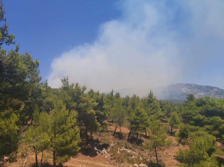 Φωτιές σε Μαρκόπουλο και Σταμάτα – Άμεσα υπό έλεγχο