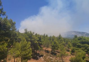 Φωτιά στις Ερυθρές Αττικής – Εκκενώνεται προληπτικά κατασκήνωση στα Βίλια