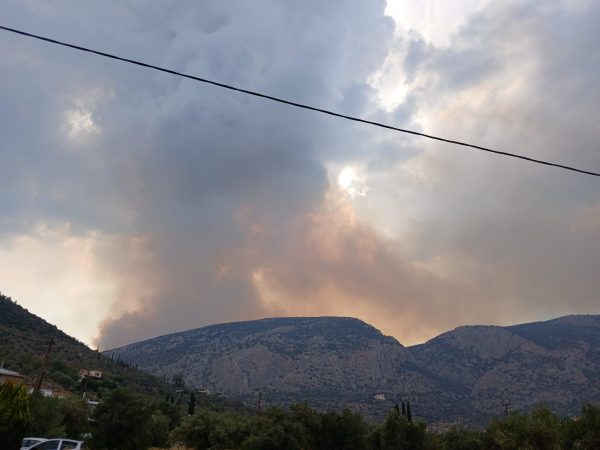 Μεγάλη φωτιά στη Φωκίδα – Εντολή εκκένωσης στο χωριό Μισόκαμπος